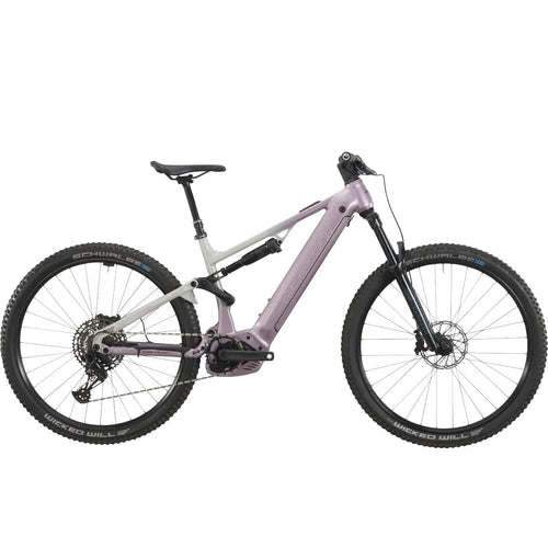 Bergstrom AXV 869 R 750Wh
